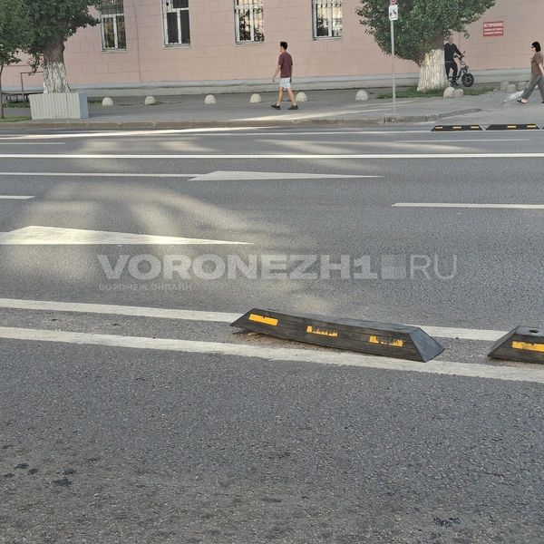 Источник: Алёна Воропаева / Voronezh1.ru