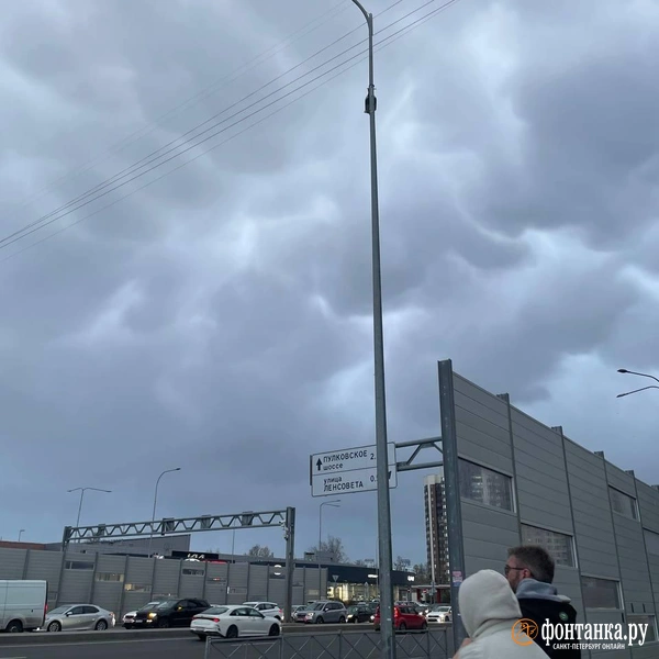 Источник: читатель «Фонтанки»
