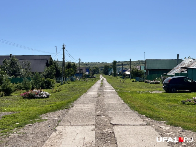 Там тоже цветочки растут | Источник: Андрей Бирюков / UFA1.RU
