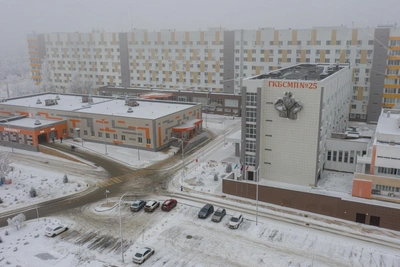 Car Hits Pedestrian Near Volgograd's Detention Center No.1