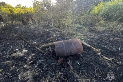Дачник заплатит штраф за пожар на острове Кабельный