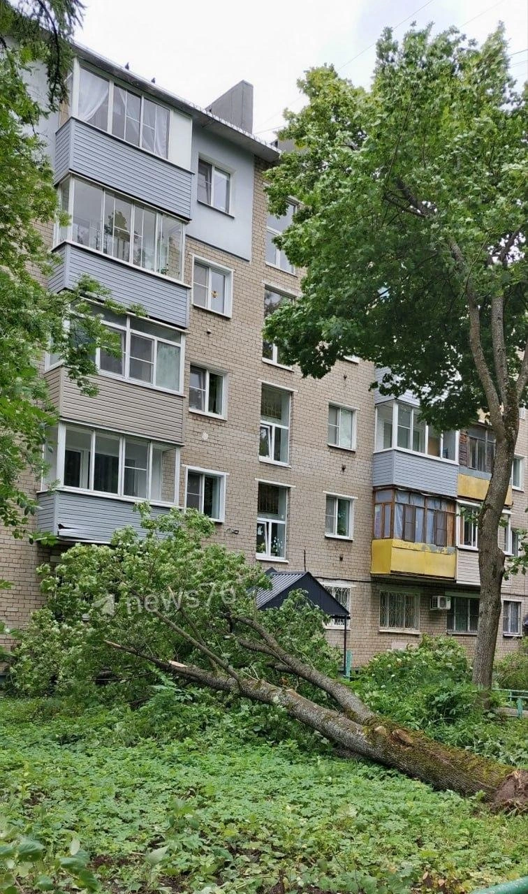 На Кривова, 53 дерево рухнуло на землю, задев обшивку на балконе | Источник: читатель 76.RU Марк