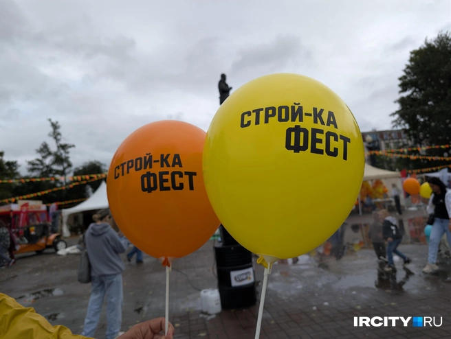 Они здорово смотрятся в этот пасмурный день и поднимают настроение | Источник: Алина Ринчино / «ИрСити»