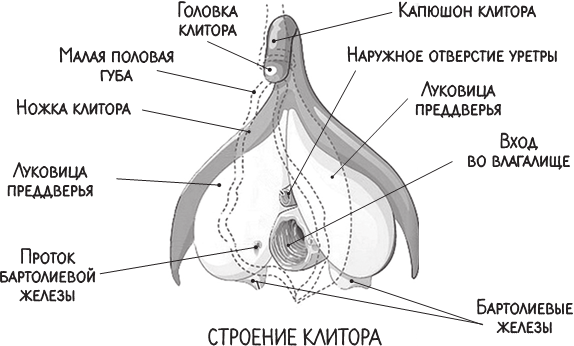 Изображение пользователя