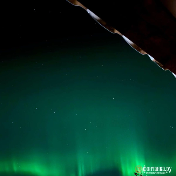 Источник: читательница «Фонтанки» Екатерина