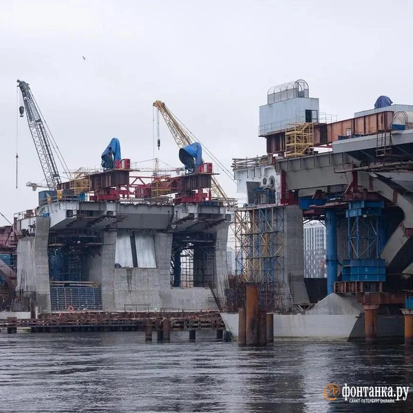 Источник: Сергей Николаев / «Фонтанка.ру»