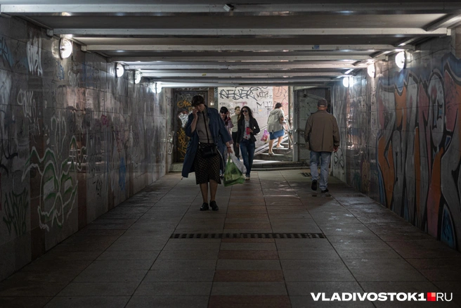 Источник: Елена Буйвол / VLADIVOSTOK1.RU