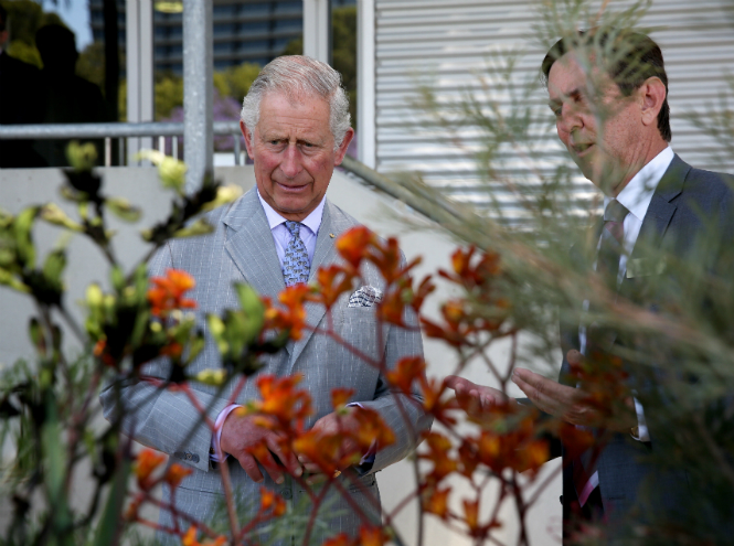 Фото №5 - Принц Чарльз воспитывает во внуке любовь к садоводству