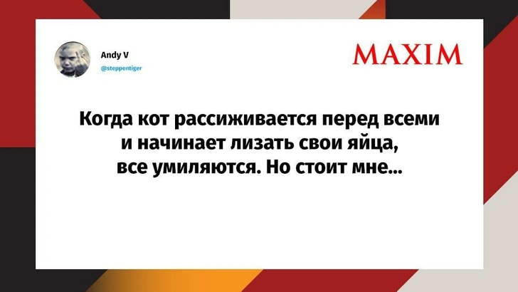 Лучшие шутки недели и губительное очко | Источник: MAXIM / X (Twitter)