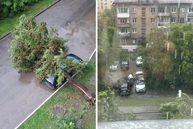 Слева — Кропоткина, 132/1, справа — Салтыкова-Щедрина, 5 | Источник: читатели НГС
