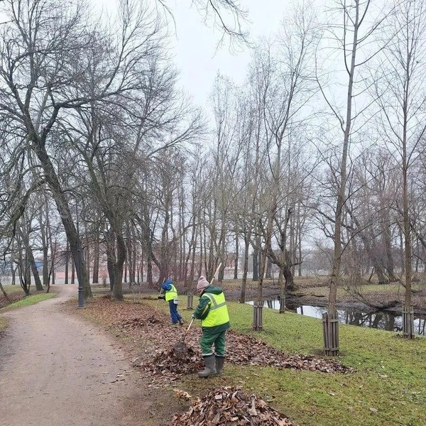 Источник: Комитет по благоустройству Петербурга