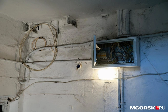 С чем тут точно порядок — так это с интернетом | Источник: Наталья Зайцева / MGORSK.RU