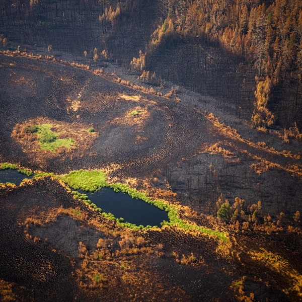 Источник: DIMITAR DILKOFF/AFP via Getty Images