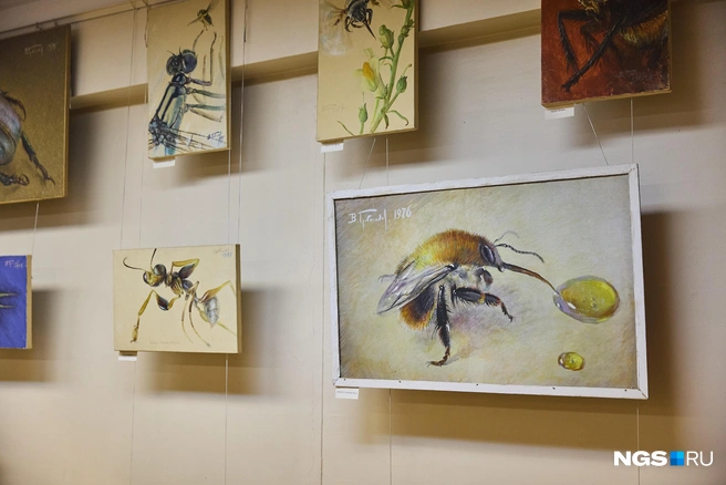 Одна его из самых известных картин&nbsp;— это шмель рядом с капелькой меда | Источник: Александр Ощепков / NGS.RU