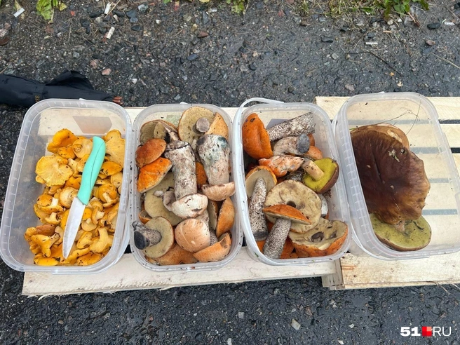 Источник: Александра Балаба