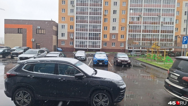 Первый снег в этот понедельник пошел в Кургане  | Источник: Александр Лисихин / 45.RU