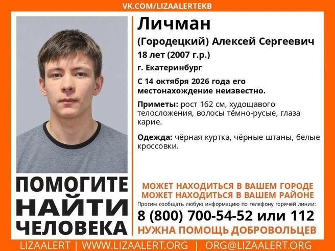 Алексея ищут с прошлой недели | Источник: Поисковый отряд «ЛизаАлерт» Свердловской области / vk.ru