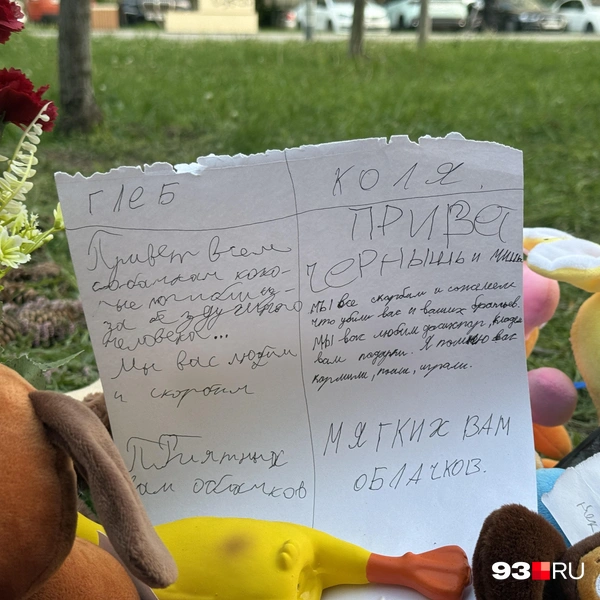 Дети пишут письма погибшим собакам | Источник: Валерия Дульская / 93.RU