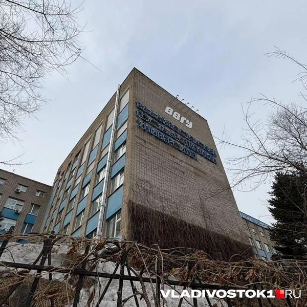 Источник: Елена Буйвол / VLADIVOSTOK1.RU