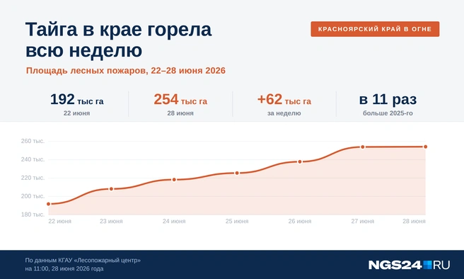 Возрастание площади лесных пожаров наглядно | Источник: Геннадий Денисов / NGS24.RU