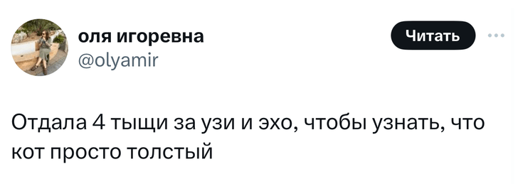 Шутки понедельника и комната с бесконечным сыром