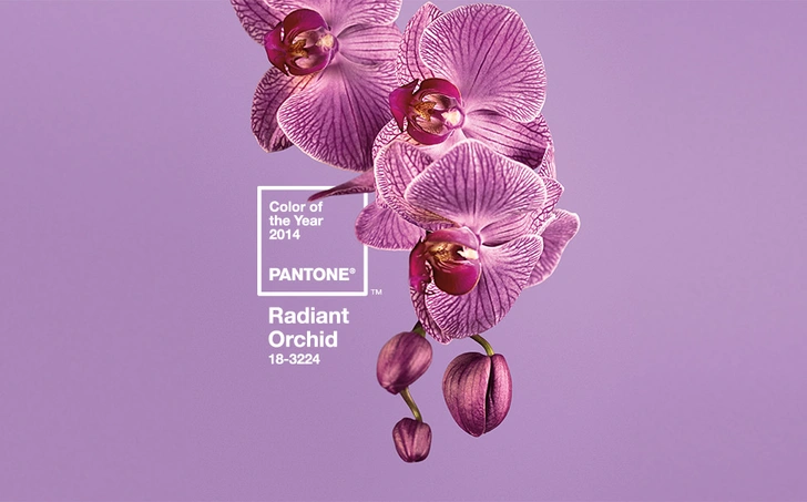 Как менялся цвет года Pantone последние 10 лет