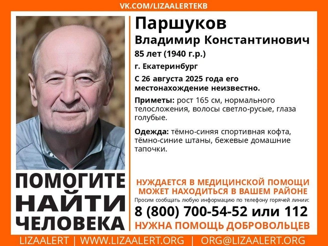 Источник: «ЛизаАлерт»