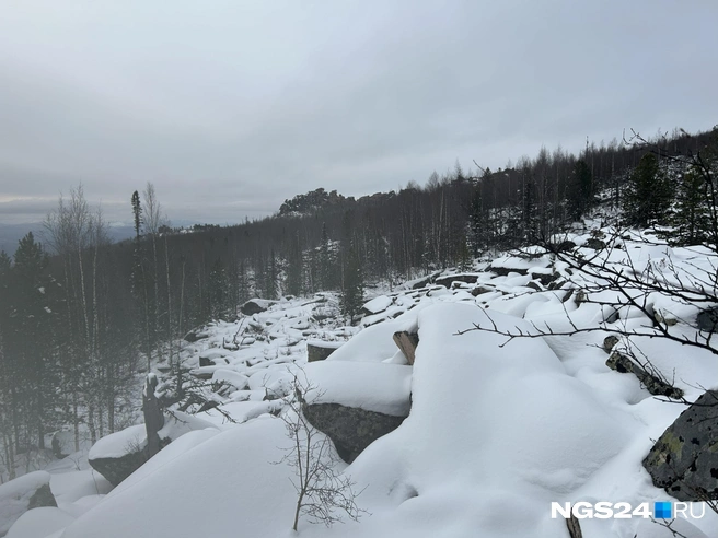 Один из участков обследования | Источник: Алексей Тайганавт / NGS24.RU