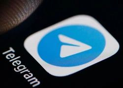 Telegram разрешил пользователям жаловаться на нелегальный контент в чатах