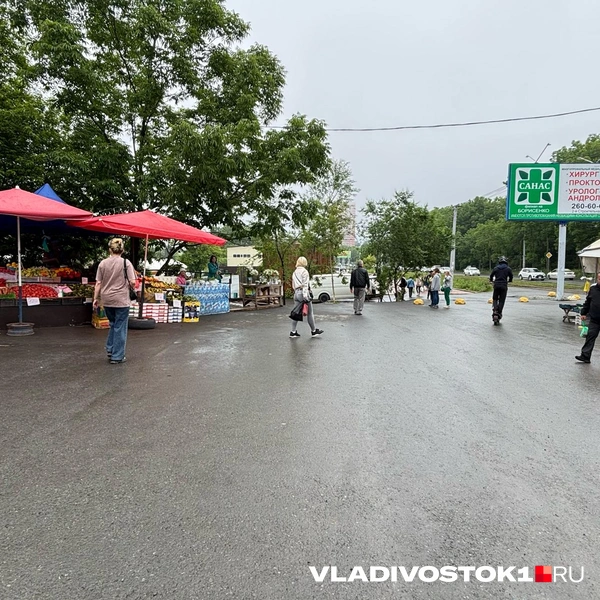 Источник: Елена Буйвол / VLADIVOSTOK1.RU