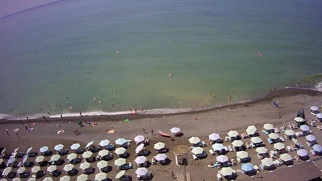 Мутная вода не останавливает отдыхающих | Источник: sochi.camera
