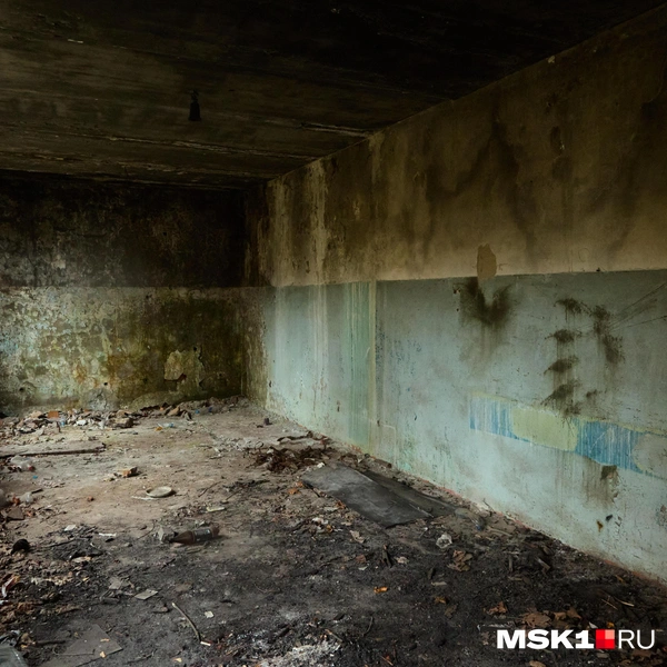Источник: Дмитрий Толстошеев / MSK1.RU