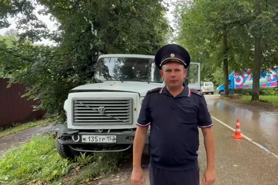 В Павлове водитель умер за рулем и въехал в дерево