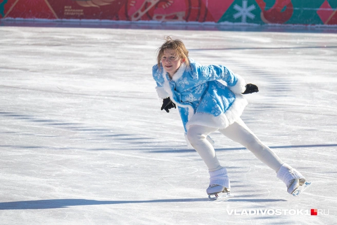 Источник: Елена Буйвол / VLADIVOSTOK1.RU