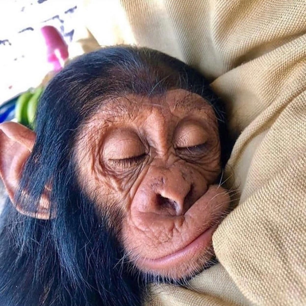 Источник: Соцсети