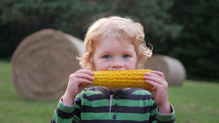 Как правильно варить кукурузу, чтобы она была сочной и понравилась детям