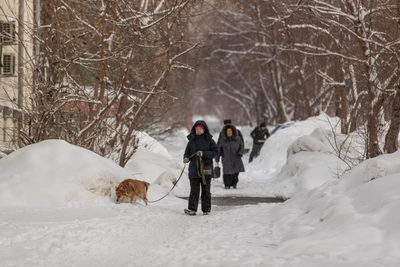 Высота снега в Новосибирске достигла 52 см, декабрь может войти в историю