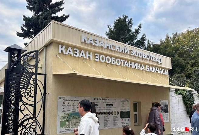 Источник: Регина Алтынбаева / 116.RU