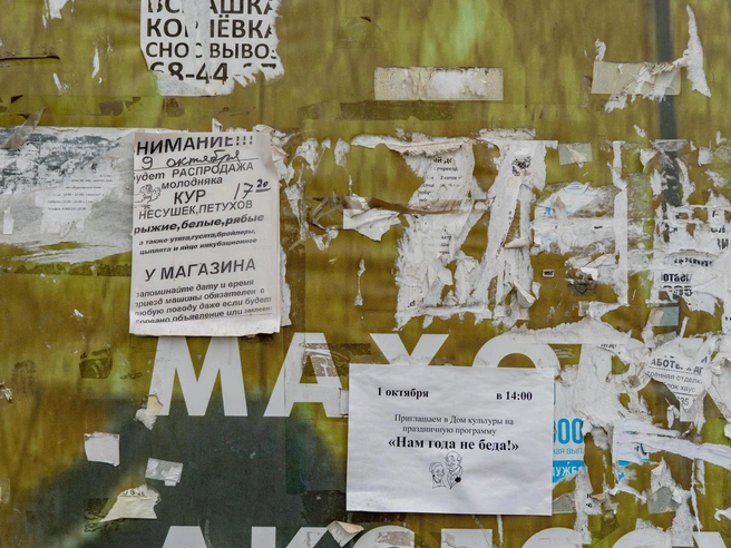 9 октября в деревне проводилась продажа домашней птицы | Источник: Кирилл Поверинов / 76.RU