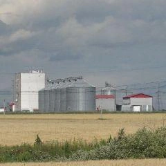 На фоне угольного кризиса власти региона вновь сосредотачиваются на сельском хозяйстве | Источник: www.city-n.ru