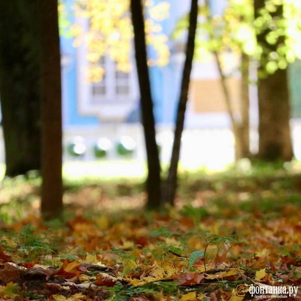 Источник: Лада Шаталова / читательница «Фонтанки»