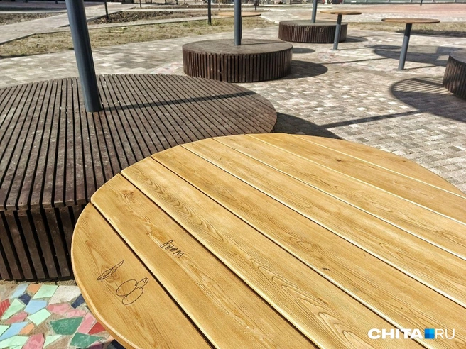 Источник: Любовь Никитина / CHITA.RU