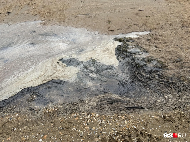 На пляже Благовещенской встречаются пятна | Источник: Валерия Дульская / 93.RU