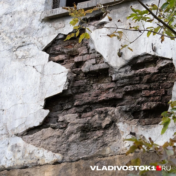 Источник: Елена Буйвол / VLADIVOSTOK1.RU
