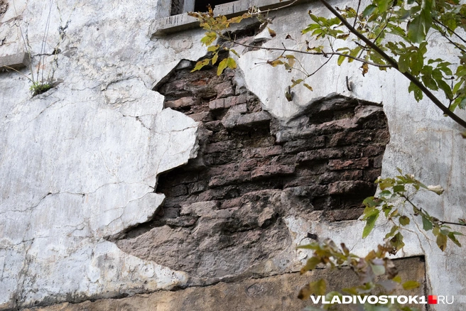 Источник: Елена Буйвол / VLADIVOSTOK1.RU