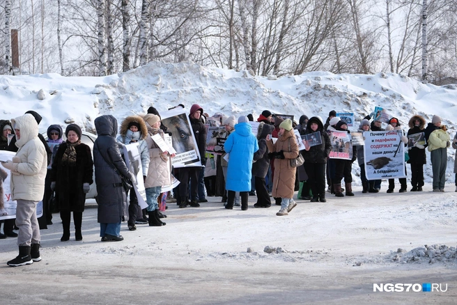 На эти выходные в Томск пришли морозы до минус 20 градусов, поэтому пикет решили ограничить до 45 минут. | Источник: Василиса Орлова / NGS70.RU
