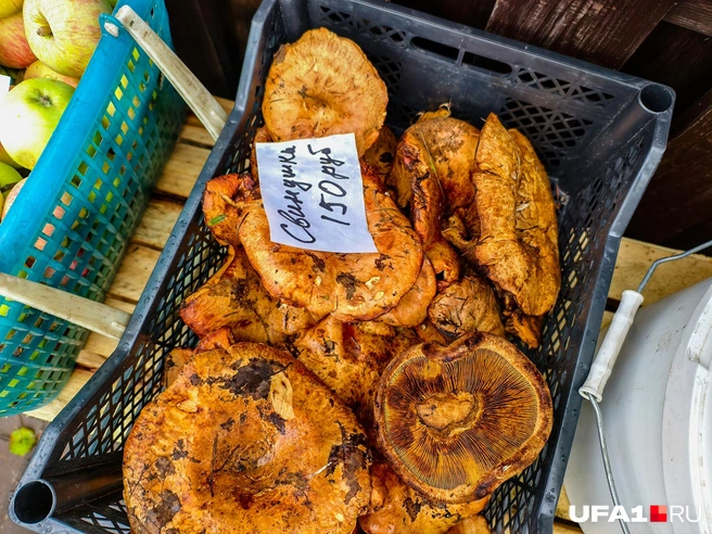 Выглядят не презентабельно, конечно | Источник: Булат Салихов / UFA1.RU