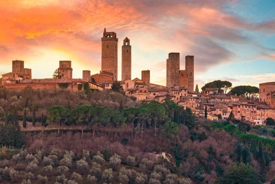 Sun of Tuscany: The Birth of Vin Santo