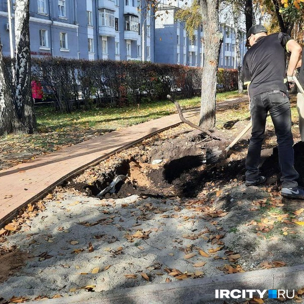 Даже вручную | Источник: Виктор Лучкин / «ИрСити»