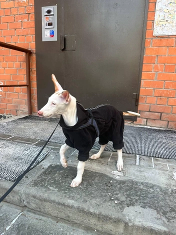 Даже спортивный костюм. Ну прелесть же! | Источник: личный архив Надежды Купченко